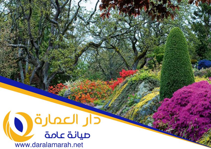 تنسيق حدائق في ام القيوين